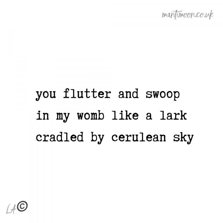 Haiku of the week: you flutter and swoop/in my womb like a lark/cradled by cerulean sky