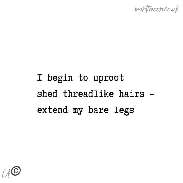 Haiku of the week: I begin to uproot/shed threadlike hairs - /extend my bare legs